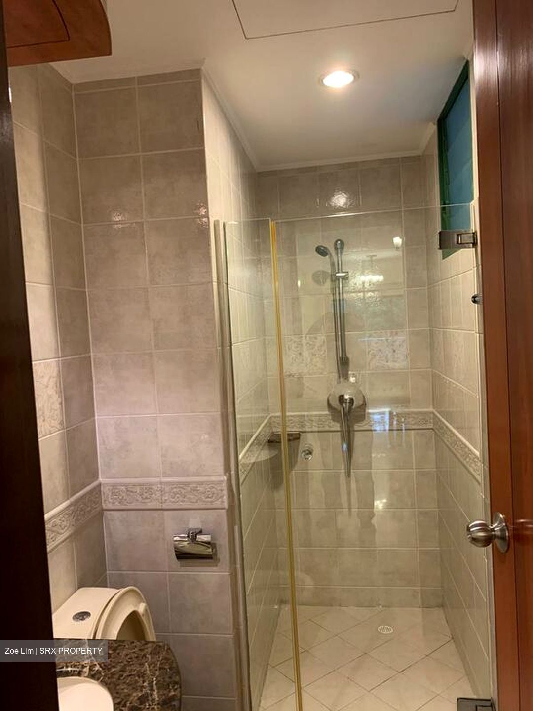 Signature Park (D21), Condominium #524576961